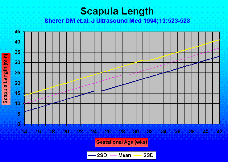Scapula Length
Sherer DM et.al. J Ultrasound Med 1994;13:523-528